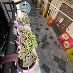Rosalia Loft, Nel Cuore Di Ballaro A
