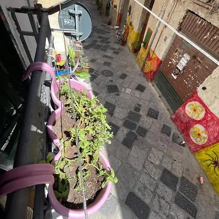 Rosalia Loft, Nel Cuore Di Ballaro A